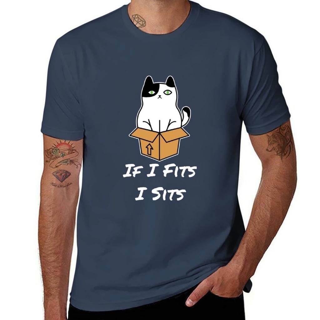 If I Fits I Sits Funny Meme Cat Lover Gift Cat In A Box Tshirt Retro Graphic Print Tshirt