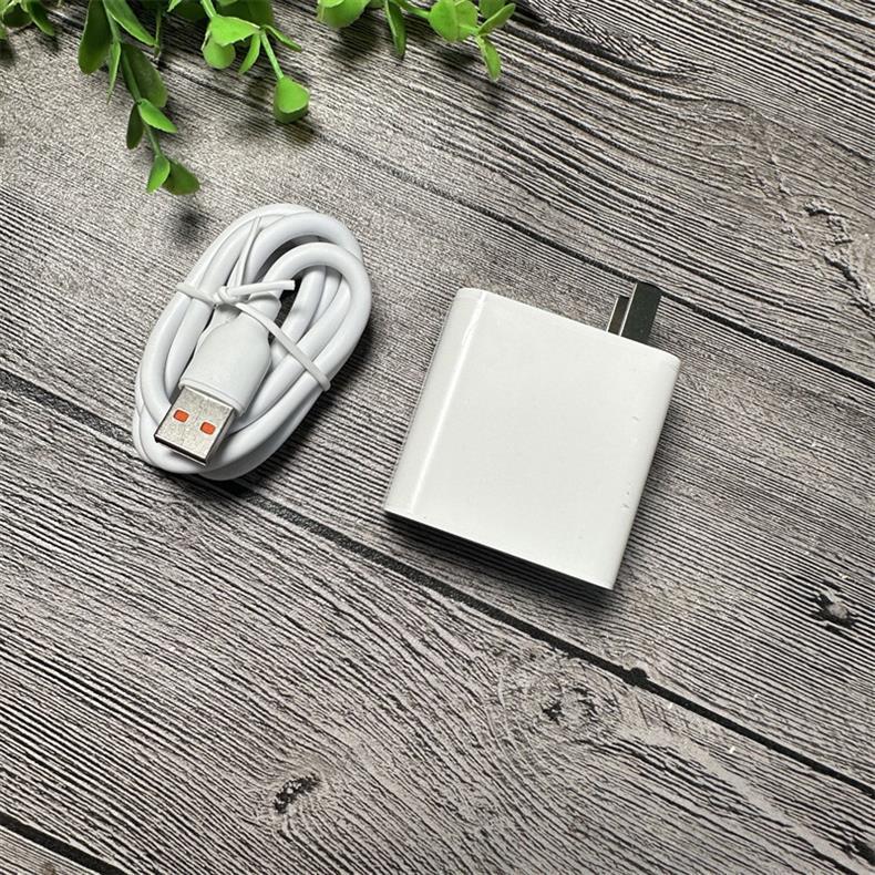 Red Fruit G05s Single Head 100W Type-C Fast Charging Set