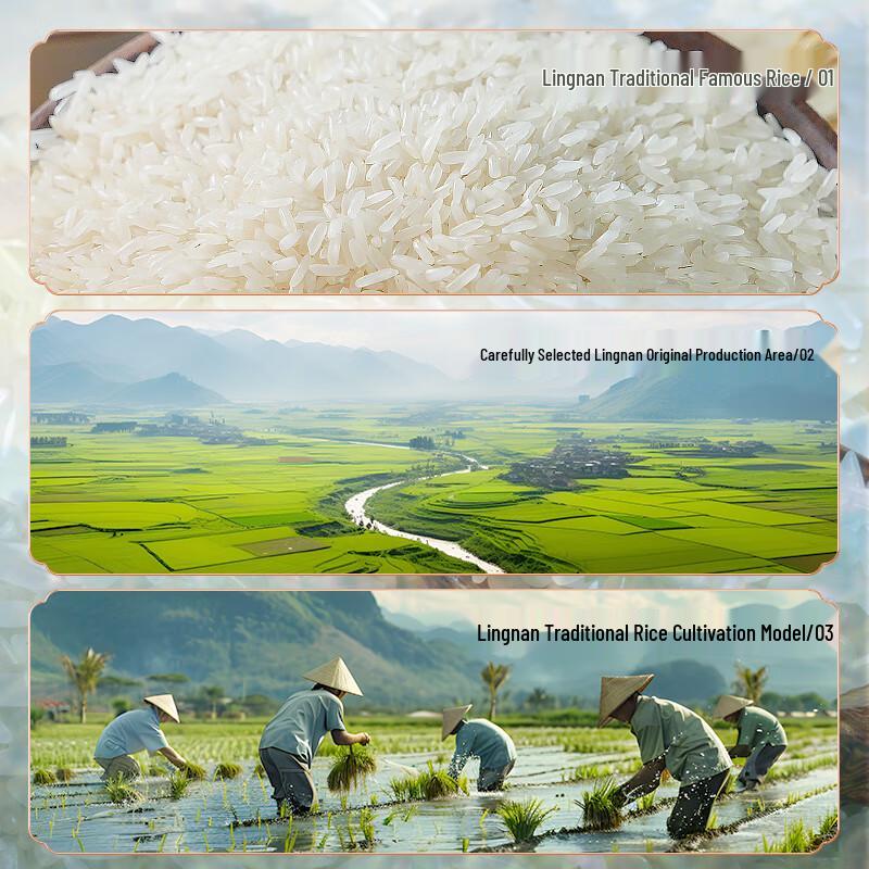 Lingnan Premium Long Grain Silk Rice