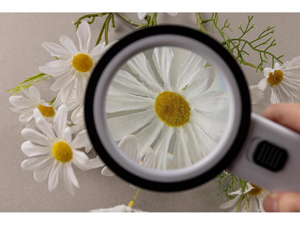 HD 12 LED Förstoringsglas med Hög Förstoring och Optisk Klarhet för Äldre & Barn 2288-85