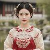Chinese Style Hanfu Collar Embroidery Design Horse-face Skirt Yunjian Collar  Photography Prop