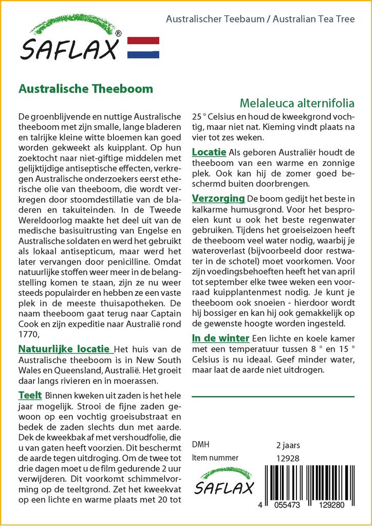 SAFLAX Australian Tea Tree - 400 Seeds - Melaleuca Alternifolia