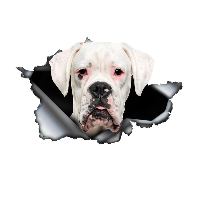 

White Boxer Car Stickers Scratch Blocking Self-Adhesive Waterproof Decal, Used for Car, Laptop, Motorcycle, Van, RV 15cm-Longest Side