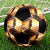Horizon Theme Size 5 Soccer Ball, Suitable for Both Indoor and Outdoor Matches, a Gift Suitable for Everyone.