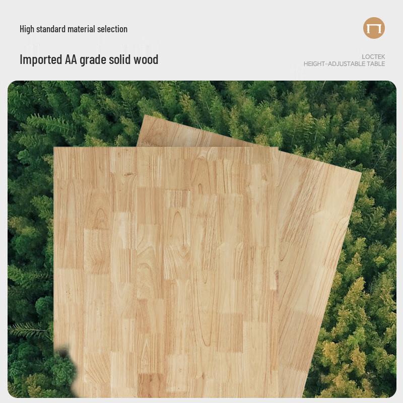 Loctek E6 Solid Wood Electric Standing Desk