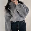 Zipper Faux Lamb Fleece Cardigan Stand Collar Short Jacket Loose Long Sleeve Women Autumn Winter Warm Coat Ropa Mujer