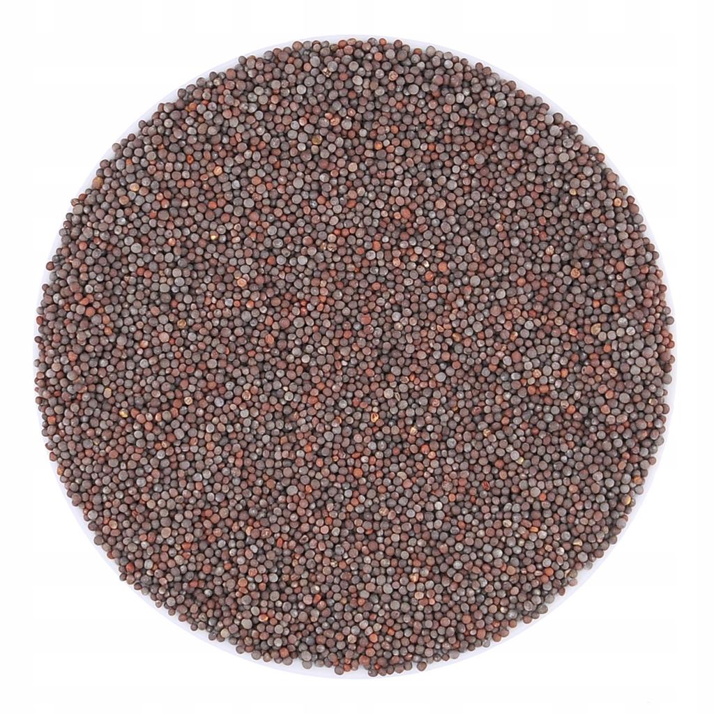 Gorczyca Czarna ziarno gorczycy czarnej - 1kg