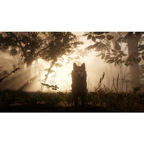 red dead redemption 2 import version: north america - ps4