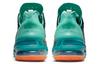 Nike LeBron 18 We Are Family CQ9283-300