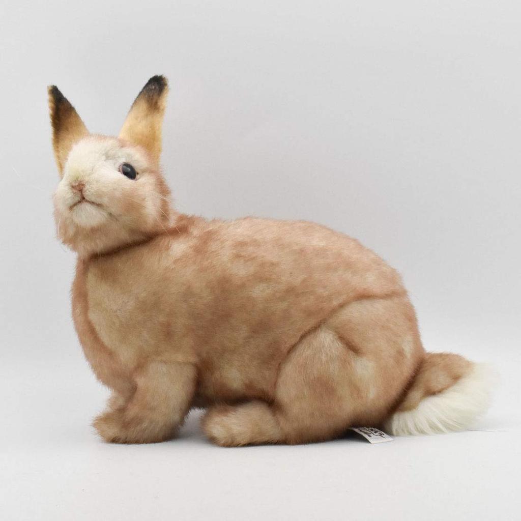 BH7797 HANSA Rabbit 35