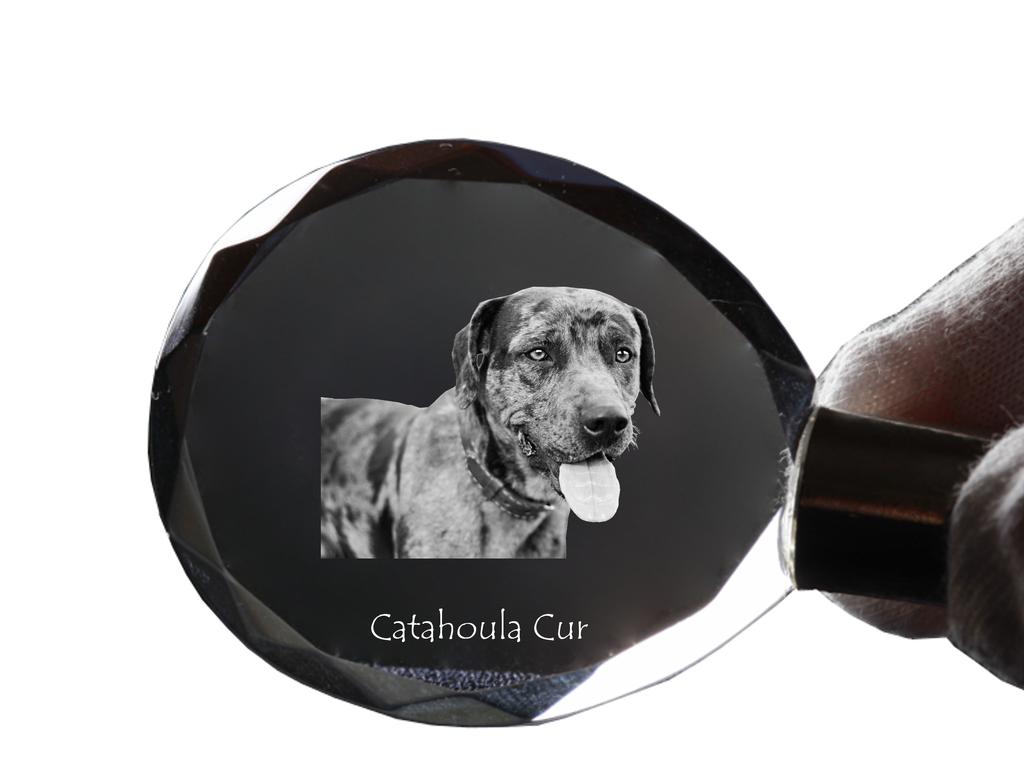 Catahoula Leopard Dog, Catahoula Cur - přívěsek s fotkou pejska, křišťálový přívěsek na klíče v dárkové krabičce, jedinečný dárek od Art-Dog