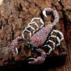 Brosche Anstecknadel Skorpion Strass Schmuck Funkelnde Tierbrosche Kleiderdeko