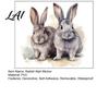Easy Installation Wall Mural for Novices Cartoon Rabbit Sticker Kids Room Waterproof PVC Bunny Decal Peel And Stick Decor Art Nursery Bedroom Living