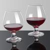 Crystal Whiskey & Brandy Glass Set