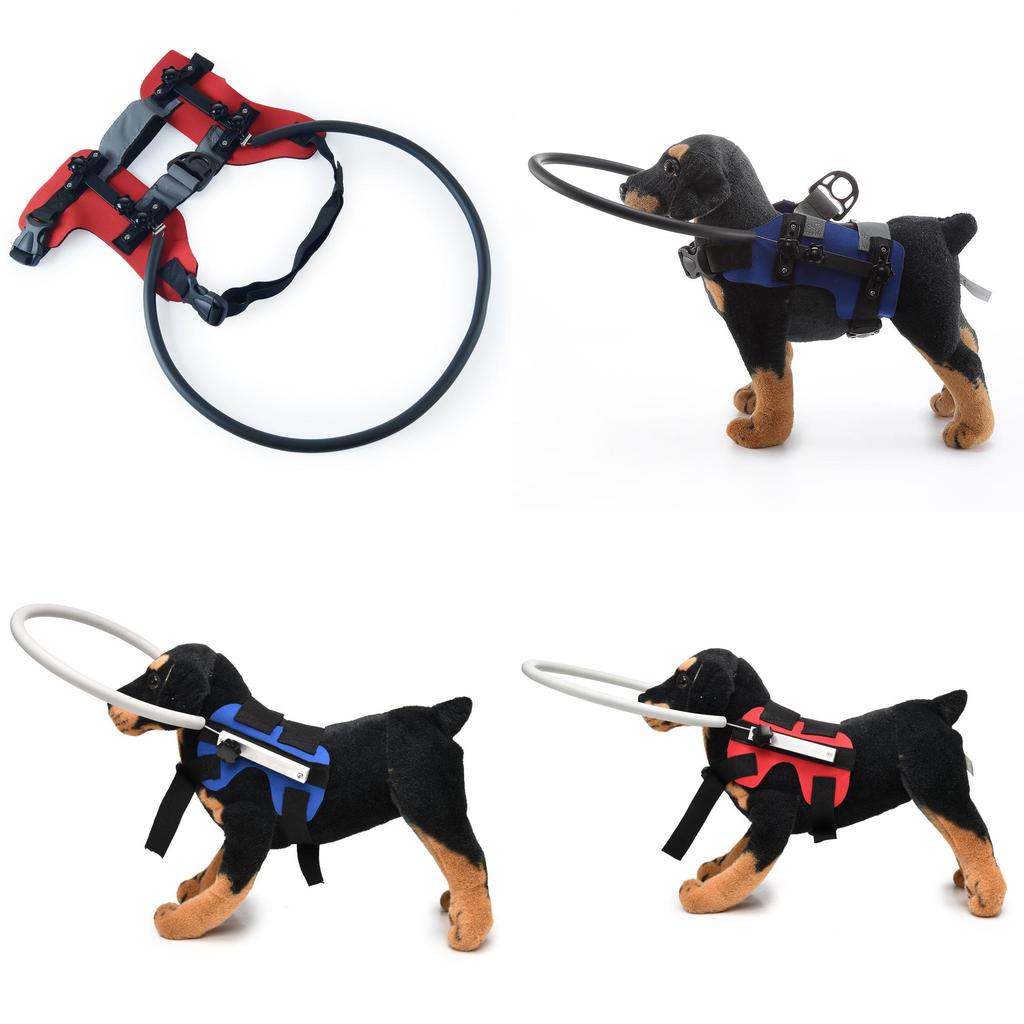 Sicherheitskragen für blinde Hunde mit stoßfestem Design für die Pflege älterer Hunde