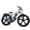 BAOLUJIE DP-2620 Integrated Wheel Adult E-Mountain Bike  500W Motor 48V13AH Battery 26 Inch Fat Tires Off-Road Electric All-Terrain Electric Bicycle