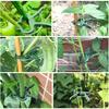 Multi-piece Adjustable Plant Clip - Reusable Garden Support for Flowers, Vines, Vegetables and Tomatoes - Durable Plastic, Essential Gardening Tools