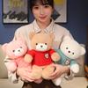 New Teddy Bear Doll Plush Toy Sweater Bear Doll Doll Bear Gifts for Girlfriend's Birthday Gifts