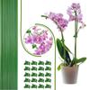 22Pcs Flexible Plant Support Bracket With 22 Green Clip Bendable Garden Stakes For Outdoor Plant Stem Healthy Growth
