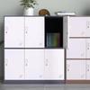 Student Classroom Storage Locker