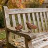 2Pcs Exquisite Decorative Ornament Metal Bird Decorative Ornament Figures Rusty Metal Bird Home Decoration