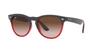 Sunglasses RB4471 IRIS 663113 GRAY ON TRANSPARENT RED 54 [Ray-Ban]
