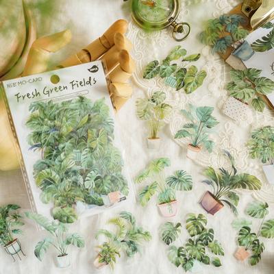 Sada 30 ks nálepek botanických listů kapradiny Transparentní PET Vintage Rostlinné vodotěsné nálepky na scrapbook pro svépomocné dekorace deníku