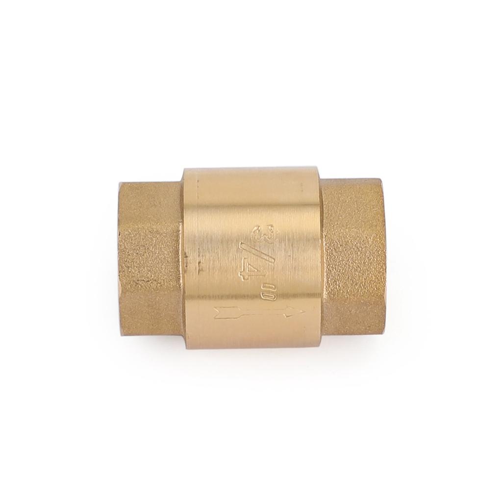 DN20 3/4" NPT In-Line Check Valve Brass Spring Loaded Inline 200PSI