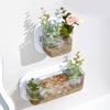 Wall Hanging Aquariums Tanks Office Wall Fish Tanks Wall Mounted Fish Bowl for Modern Home Decoration