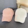 New Winter Women Baseball Cap Artificial Lamb Wool Hats Version Tide Warm Cap Plush Baseball Caps Autumn Baseball Cap for Women
