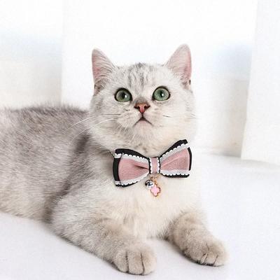 Kedi – Kedi Boyunluk ve Tasmaları