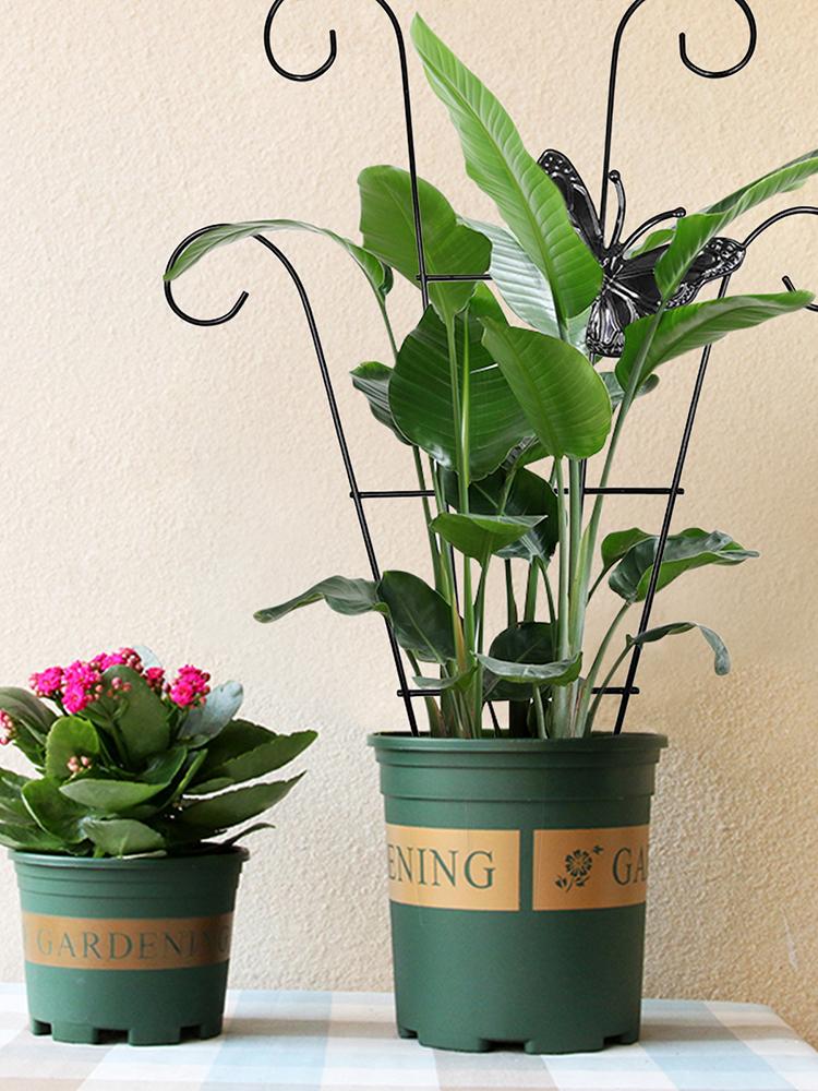 Edelstahl-Gartenspalier für Kletterpflanzen, Rankhilfe, Rankgitter für Reben