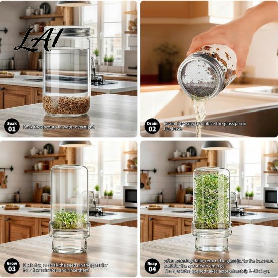 Organic Sprout Grower Sprouting Jar Kit Wide Mouth Glass with Lid Blackout