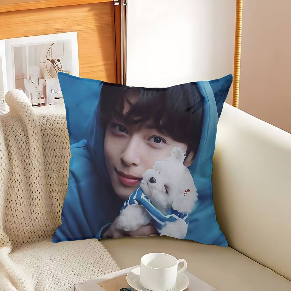 singer C-Cha EunWooS Pillowcase toon Gift Cushion Cover Bedroom Home Sofa Chair Seat Decor pillow case