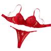 Sexy Red Pure Desire Thin Bra Perspective Mesh Embroidered Underwear Suit Women