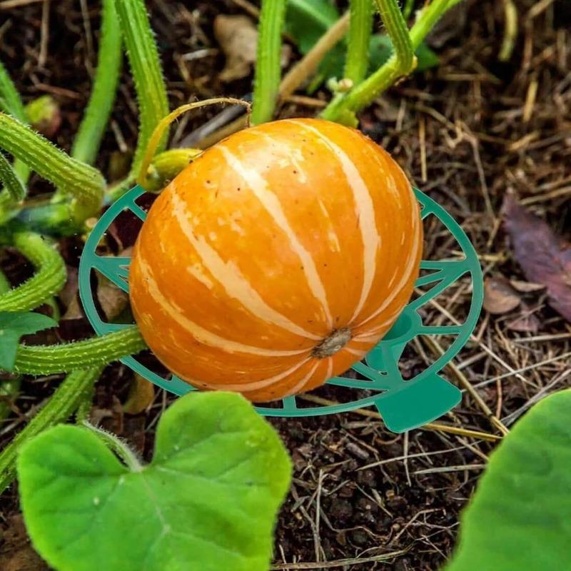 10PCS Melon Cradle Pumpkin Watermelon Stand Plastic Garden Plant Support for Squash Cantaloupe Strawberry Fruit Holder
