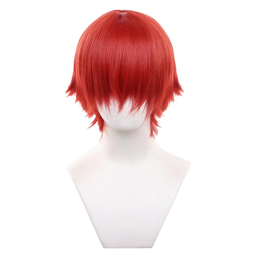 RyuuCos Full Short Straight for Men and School Cultural 01 All-Purpose Wig, Wig, Red, Heat-Resistant, Women, Cosplay, Disguise, Costume, Gift, Event,
