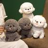 Alta Qualità 20/32Cm Alta Qualità Kawaii Alta Qualità Bichon Alta Qualità Frise Alta Qualità Peluche Set Gioco Alta Qualità Morbido Alta Qualità Animali