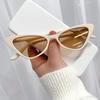 Hip-Hop Small Cat Eye Sunglasses Women Eyeglasses Eyewear with Retro Style Sunglasses