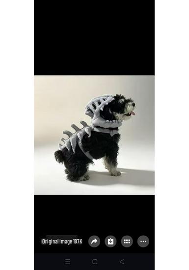 Chinese Dinosaur Park Skeleton Plush Headgear Toy - Funny Dino-themed Birthday Gift
