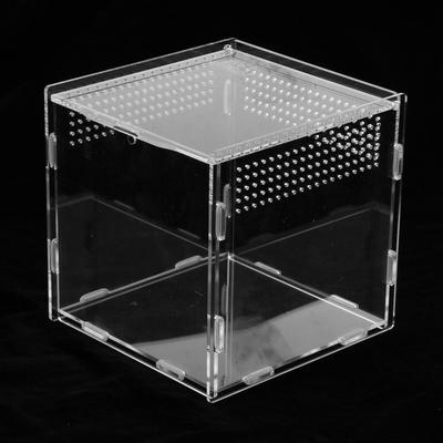 Acrylic Anti- Breeding Tank For Frog