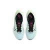 Nike Жіночі кросівки Zoom Fly 5 Glacier Blue Vapor-Green Black DM8974-401