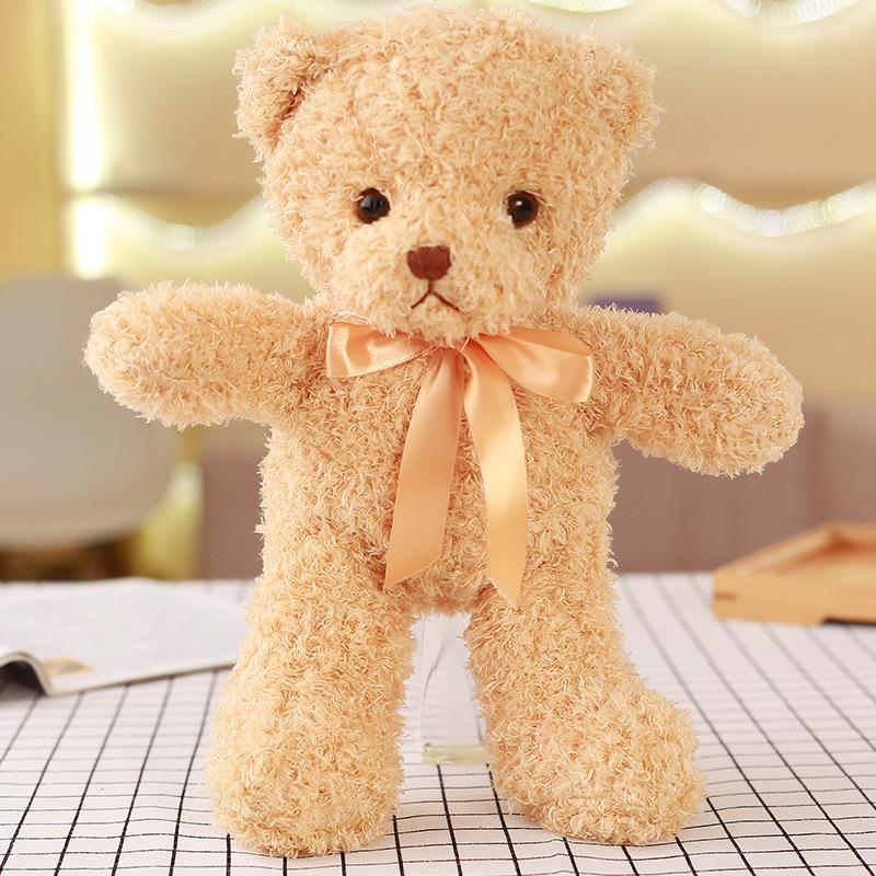 Bear Doll Plush Toy Bear Cloth Doll Hug Bear Birthday Gift Girl Friend Doll Gift
