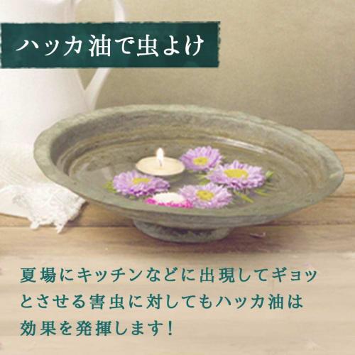 Kenei Pharmaceutical Peppermint Oil P, 20ml Dropper Type, Herbal Food Additive, Mint Fragrance, Aromatherapy, Bath, Insect Repellent, Bonus Included (