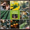 Soil Activator Garden Nutrient Loosen Soil Prevent Compaction Root Growth Promoter Plant Fertilizer For Flowers Potted Plants