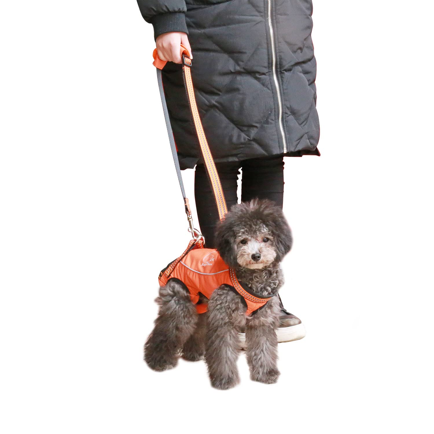 

MayChan Original Walking Assistance 2nd 3M Pet Elderly Dog Care Dog For Elderly Dogs with Leg Elderly Dogs with Weak Pet Small and Medium Dogs Orange