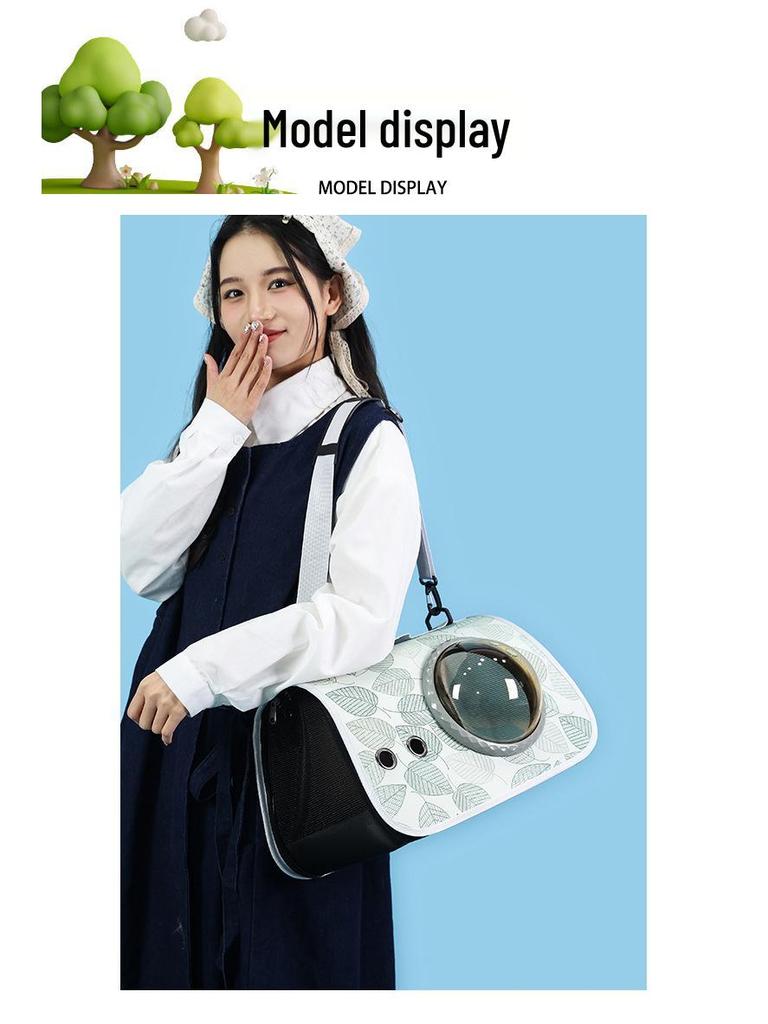 Portable Foldable Pet Space Capsule: Large Capacity Airline Crate for Cats and Dogs
