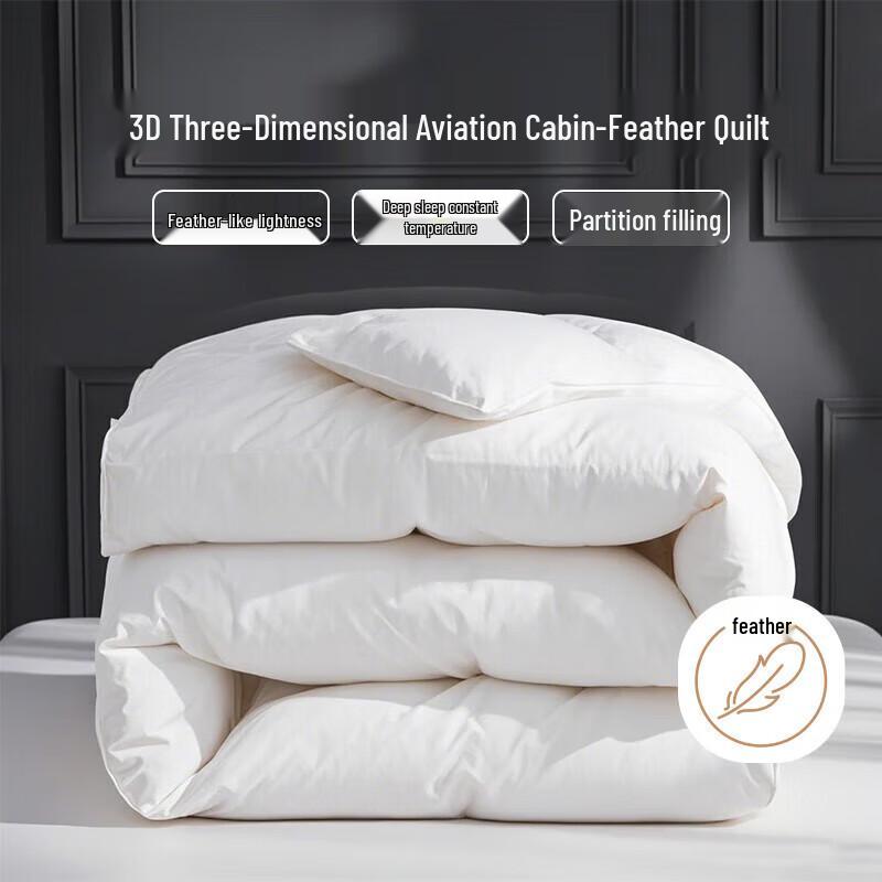 

Ranpai Anti-Leakage White Duck Down Winter Quilt