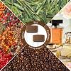 6/12Pcs Coffee Beans Storage Jar Vacuum Sealed Storage Container Multipurpose Walnut Tea Tube Display Rack Coffee Accessories