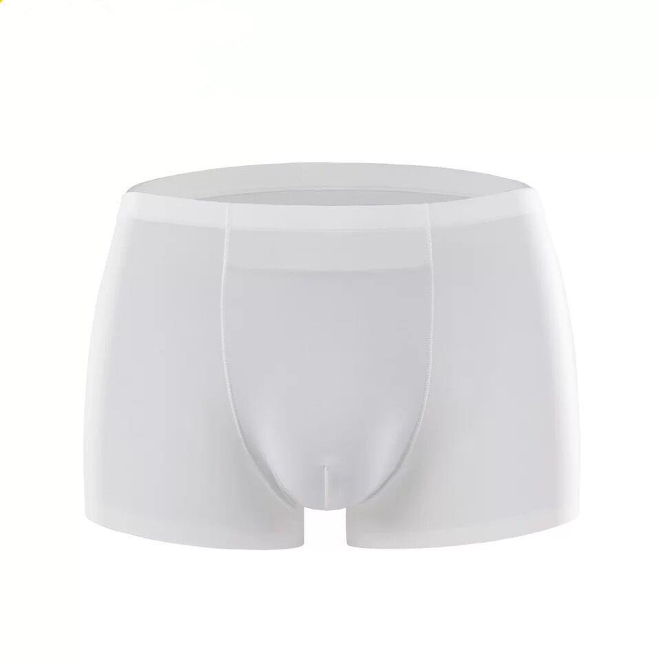 Men's Plus Size Summer Ice Silk Moisture-Wicking Seamless Quick-Dry Boxer Briefs